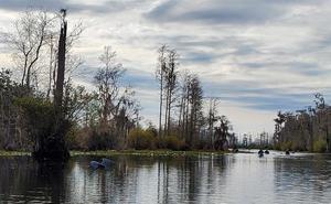 Help Suwannee Riverkeeper Save the Okefenokee Swamp