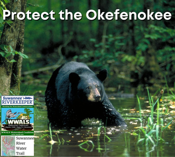 [Bear: Protect the Okefenokee]