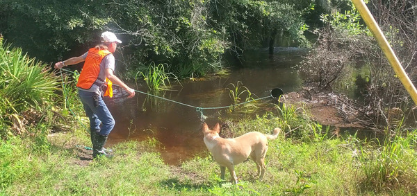 [Cindy Vedas reeling in a water sample, assisted by Blondie the dog]