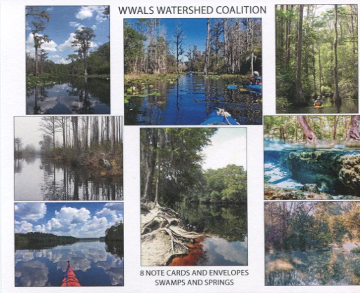 Note Cards: Swamps and Springs